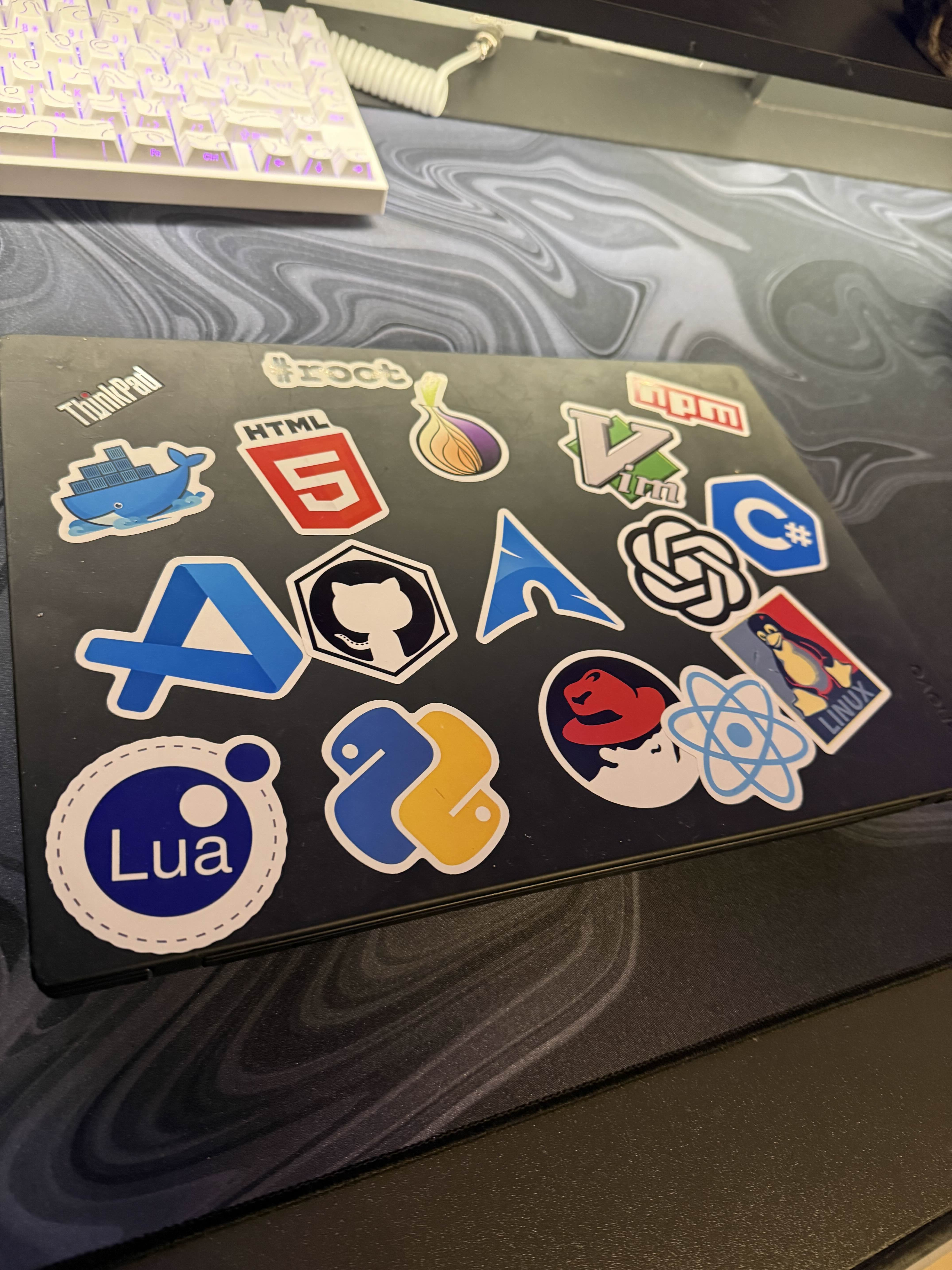 Hardened ThinkPad T480